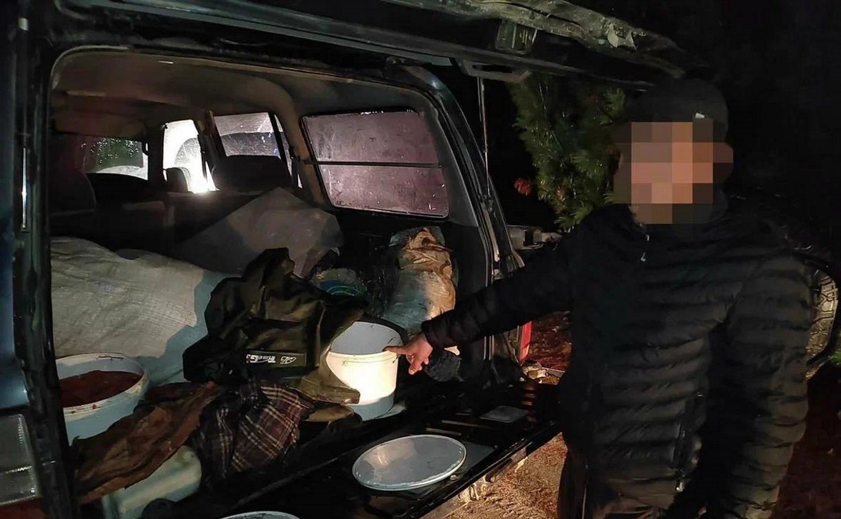 Контейнеры с красной икрой обнаружили в салоне автомобиля сахалинца