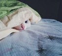 Школа, детсад и несколько домов Южно-Сахалинска проведут часть среды без отопления 