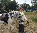 День лошади в сахалинском зоопарке отметили конно-флористическим шоу