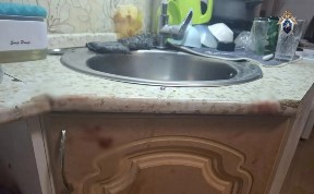 Происшествия