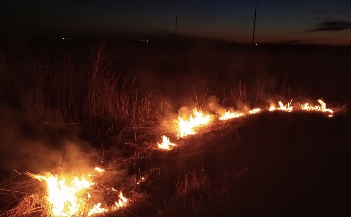 В Томаринском районе пожарные выезжали на тушение травы