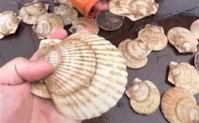 Происшествия