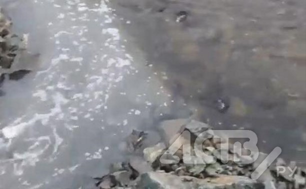 Сахалинец: мутная вода с очистных сооружений течёт в реку в Ново-Александровске