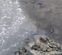 Сахалинец: мутная вода с очистных сооружений течёт в реку в Ново-Александровске