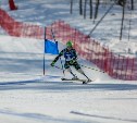Чемпионат России по парагорнолыжному спорту завершается на Сахалине