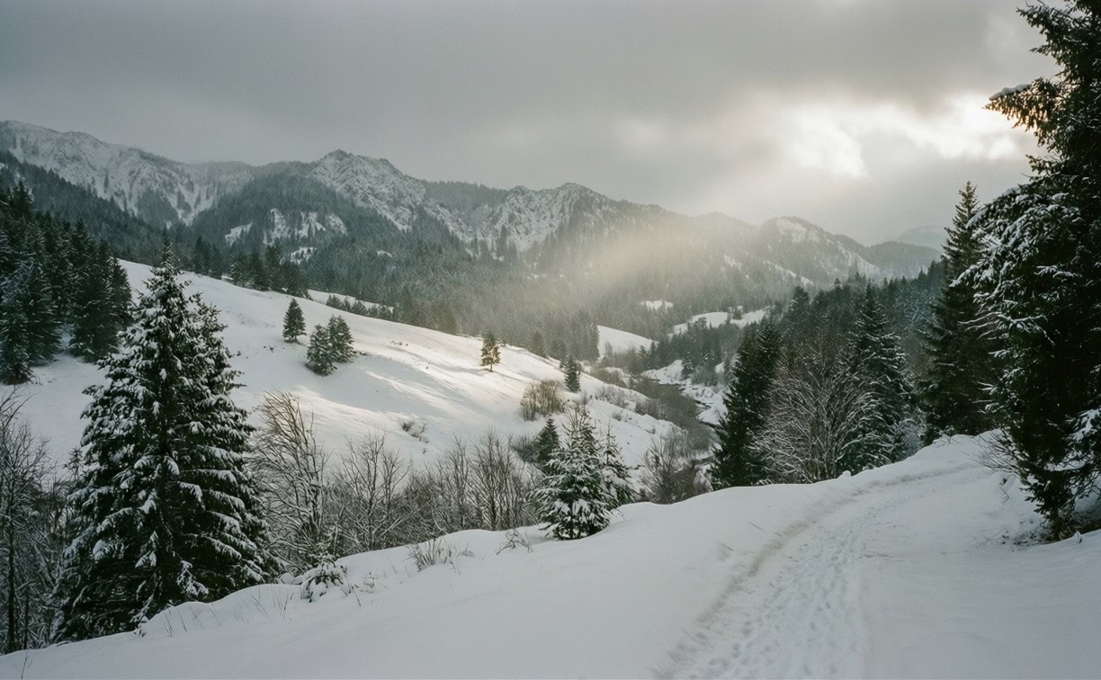 Морозы некрепкие, солнце неяркое: прогноз погоды в Сахалинской области на 19 января
