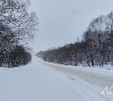 На Сахалине из-за метели закрыли участок холмской трассы