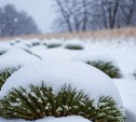 Небольшой снег и до +4°C: прогноз погоды на Сахалине и Курилах на 18 ноября