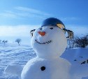 Зима в России в целом будет тёплой, но Дальнему Востоку не повезёт