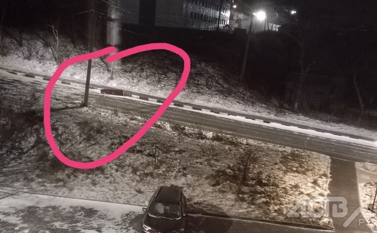 "Отливы сдуло": дом в Холмске, который привлек внимание главы следкома РФ, вновь пострадал 