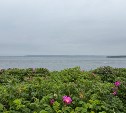 Небольшой дождь, но тепло: прогноз погоды в Сахалинской области на 14 июля