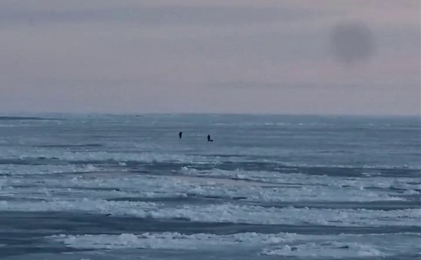 Началось: льдину с рыбаками оторвало у берегов Сахалина