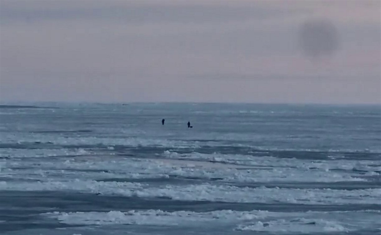 Началось: льдину с рыбаками оторвало у берегов Сахалина