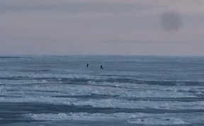 Происшествия