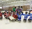 Первая детская команда по слэдж-хоккею появится на Сахалине