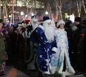 Шествием Дедов Морозов и огнем открыли новогоднюю елку в Ногликах