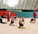 Дальневосточное первенство по художественной гимнастике вновь пройдет на Сахалине