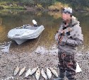 Браконьер наловил в Ногликском районе кету на 32 тысячи рублей