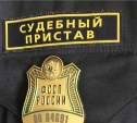 Сахалинские судебные приставы в 2017 году взыскали с должников свыше 3 миллиардов рублей