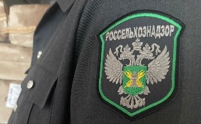 Общество