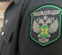 На Сахалине выявлены нарушения в пробах воды из скважин, сточных и морских источников