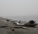 На берегу Охотского моря нашли мертвого мужчину