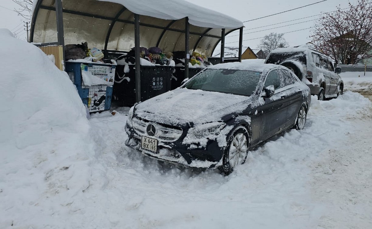 В Южно-Сахалинске "немец" охраняет мусорную площадку во дворе дома В Южно-Сахалинске "немец" охраняет мусорную площадку во дворе дома