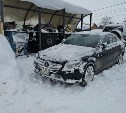 В Южно-Сахалинске "немец" охраняет мусорную площадку во дворе дома