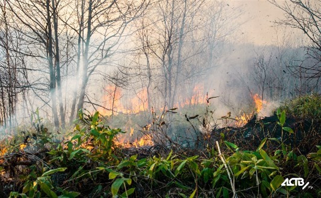Трава горела в Корсакове в районе улицы Котовского