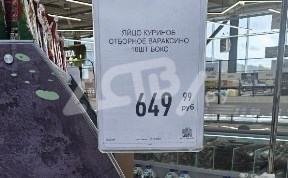 Общество