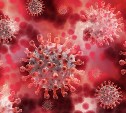По всей России за сутки выявили 3032 случая коронавируса