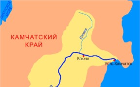 Происшествия