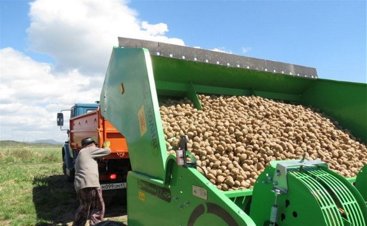 Объем производства сельхозпродукции на Сахалине превысил 10 миллиардов рублей