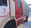 Трёх кошек вынесли пожарные из горящего дома в Южно-Сахалинске, собака погибла