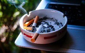 Общество