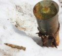 Боеприпасы, найденные недалеко от трассы Южно-Сахалинск – Синегорск, уничтожат (ФОТО)