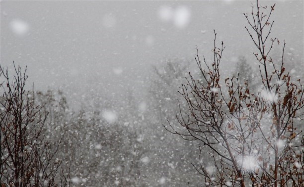 Сильный ветер со снегом пройдут в Северо-Курильском и Охинском районах 