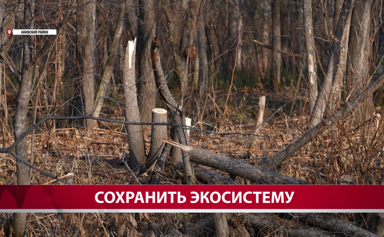 Браконьеры испоганили берег реки в Анивском районе