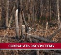 Браконьеры испоганили берег реки в Анивском районе