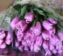 Через порты Приморья на Сахалин и Камчатку отправили 420 тысяч тюльпанов