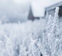 Метель и мороз до -27 градусов: прогноз погоды в Сахалинской области на 28 ноября