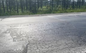 Общество