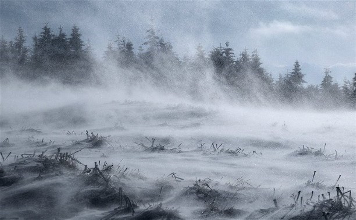 По двум районам Сахалинской области ударит штормовой ветер со снегом