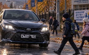Общество