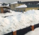 Снег, шлагбаум, порча камер: сахалинский бизнесмен "объявил войну" отказавшей ему жительнице СНТ