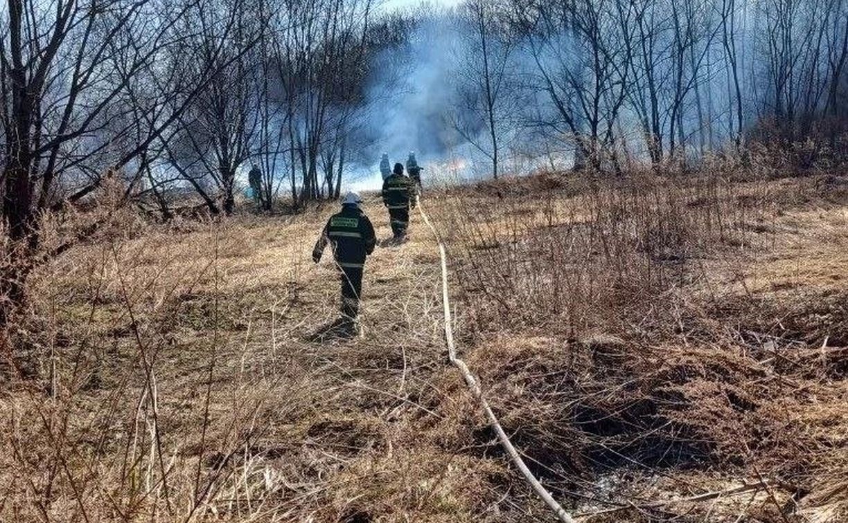 Появились кадры с места тушения пожара в Холмском районе: пламя перешло на лесополосу и ЛЭП