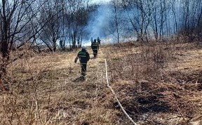 Происшествия