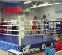 Боксеры Сахалина выявили сильнейших в областном центре
