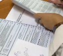 Председатель Общественной палаты рассказал, как прошел первый день выборов в Госдуму на Сахалине и Курилах