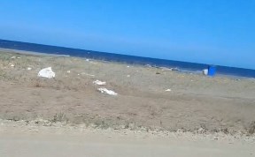 Общество